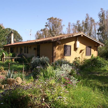 Tharros B&B San Giovanni di Sinis Zewnętrze zdjęcie