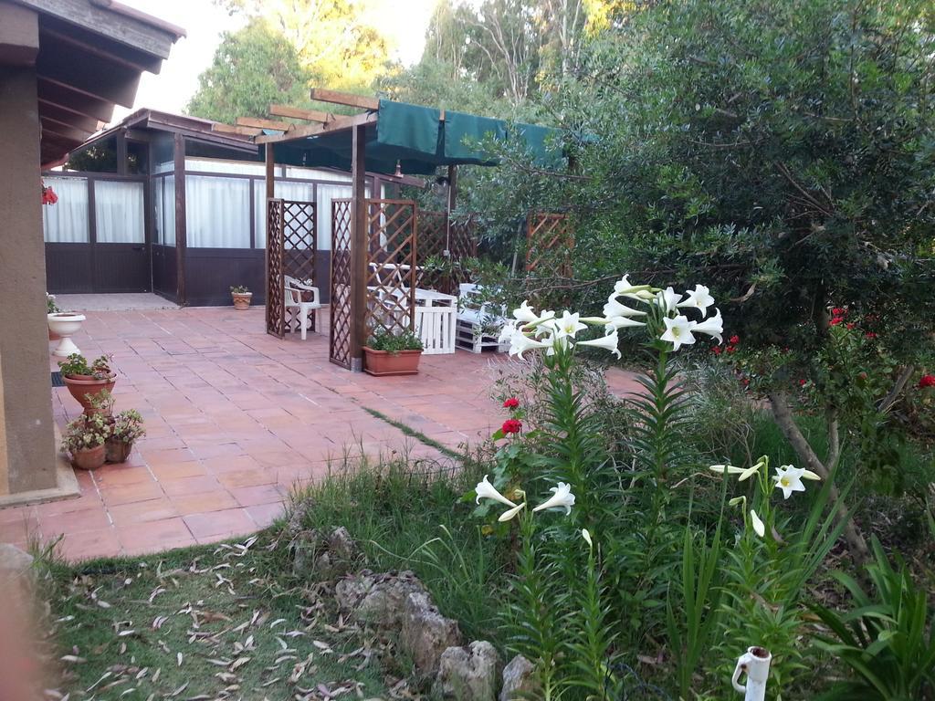 Tharros B&B San Giovanni di Sinis Zewnętrze zdjęcie